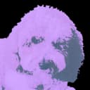 Charlie icon