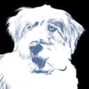 Luna icon