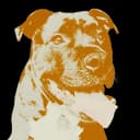 Ramon icon