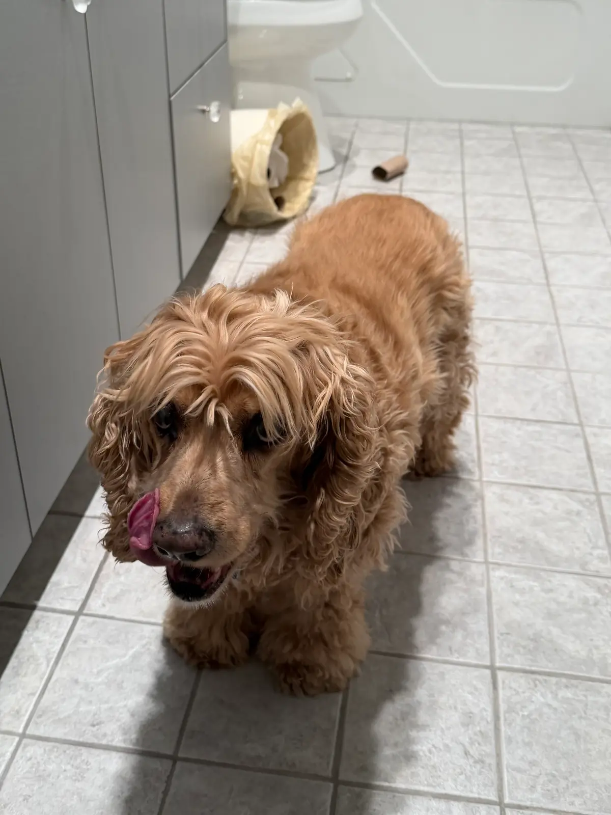 Dessert Time: Ryan was too busy making this app to notice me eating trash. Enjoyed myself.