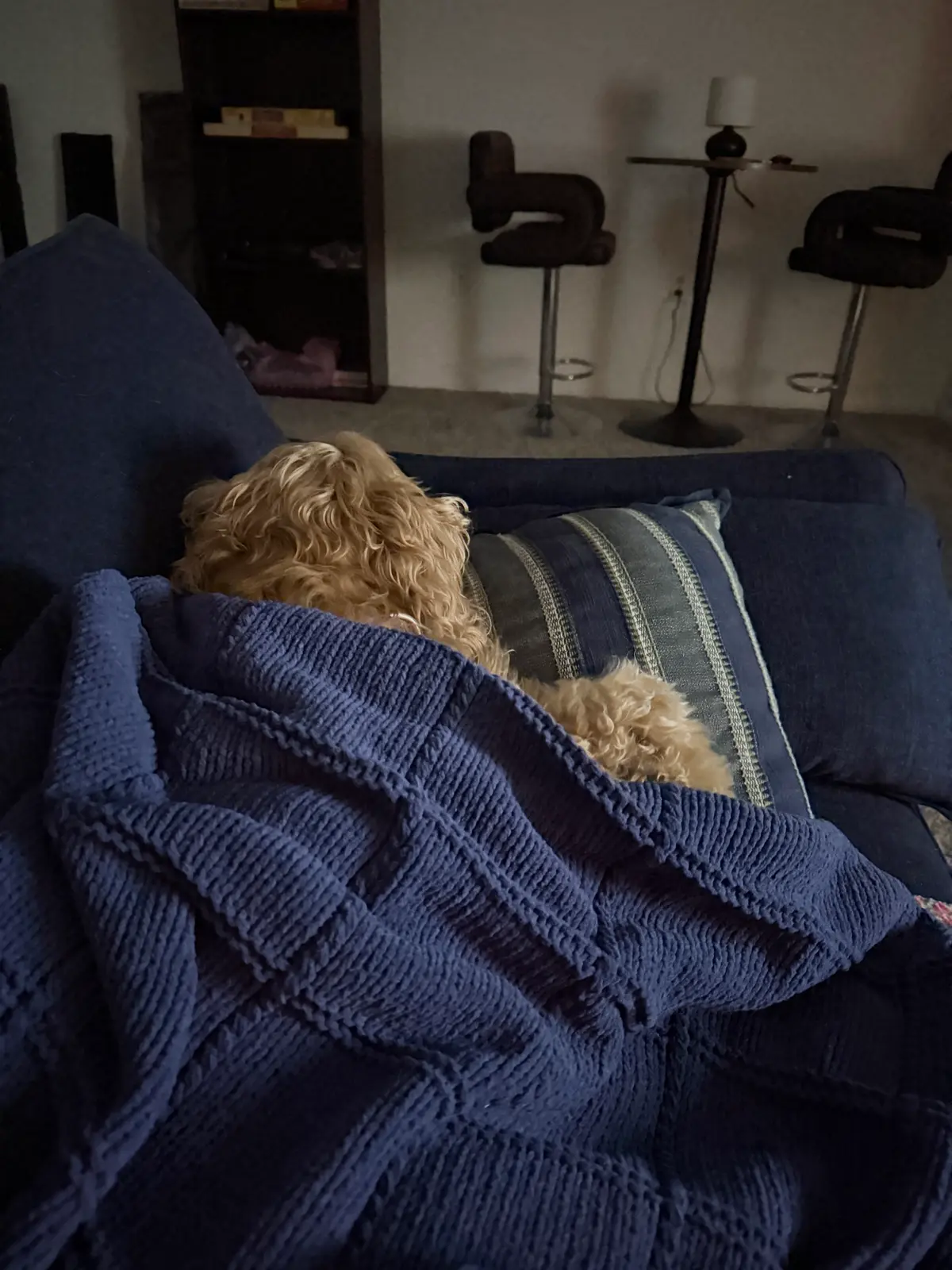 Zzzz...: ...zzzZzzZzzz...