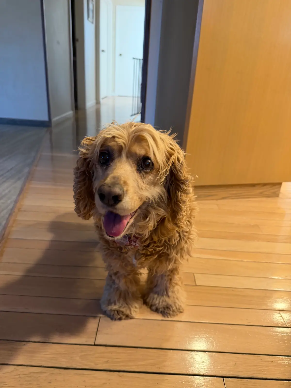 Awakened!: Had a restful rest, but now it's time to get active.