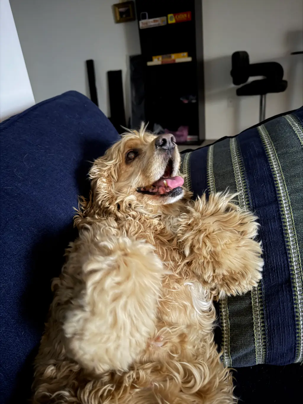 Not At All Cozy: Nope, just about the least cozy I’ve ever been. Take pity on me.