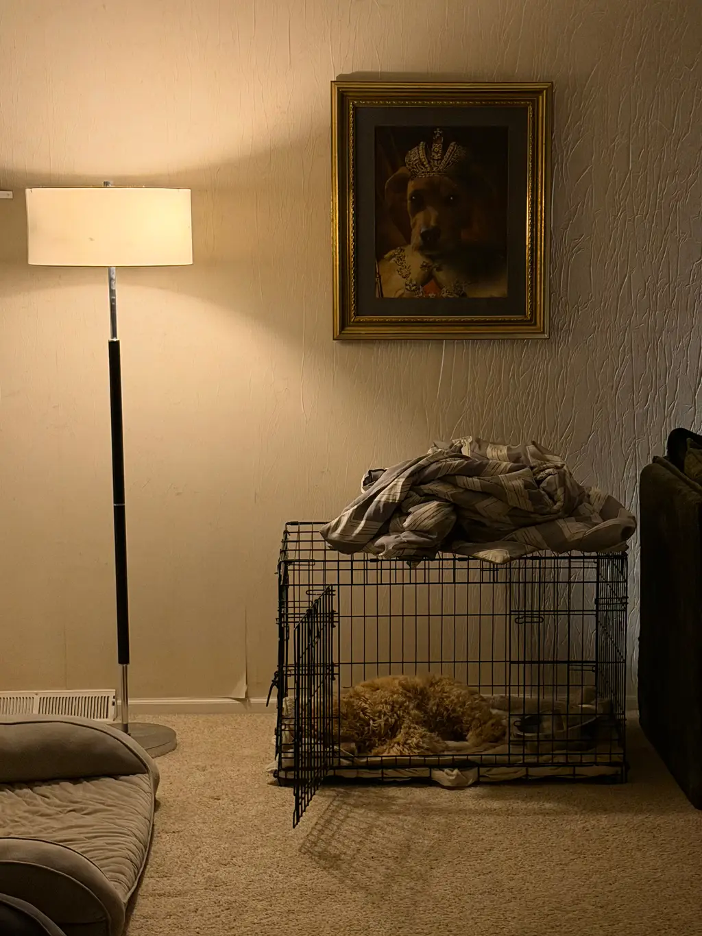 Not So Bad: After our bonding experience yesterday, the crate and I have come to understand one another. I think I’ll stay here awhile.