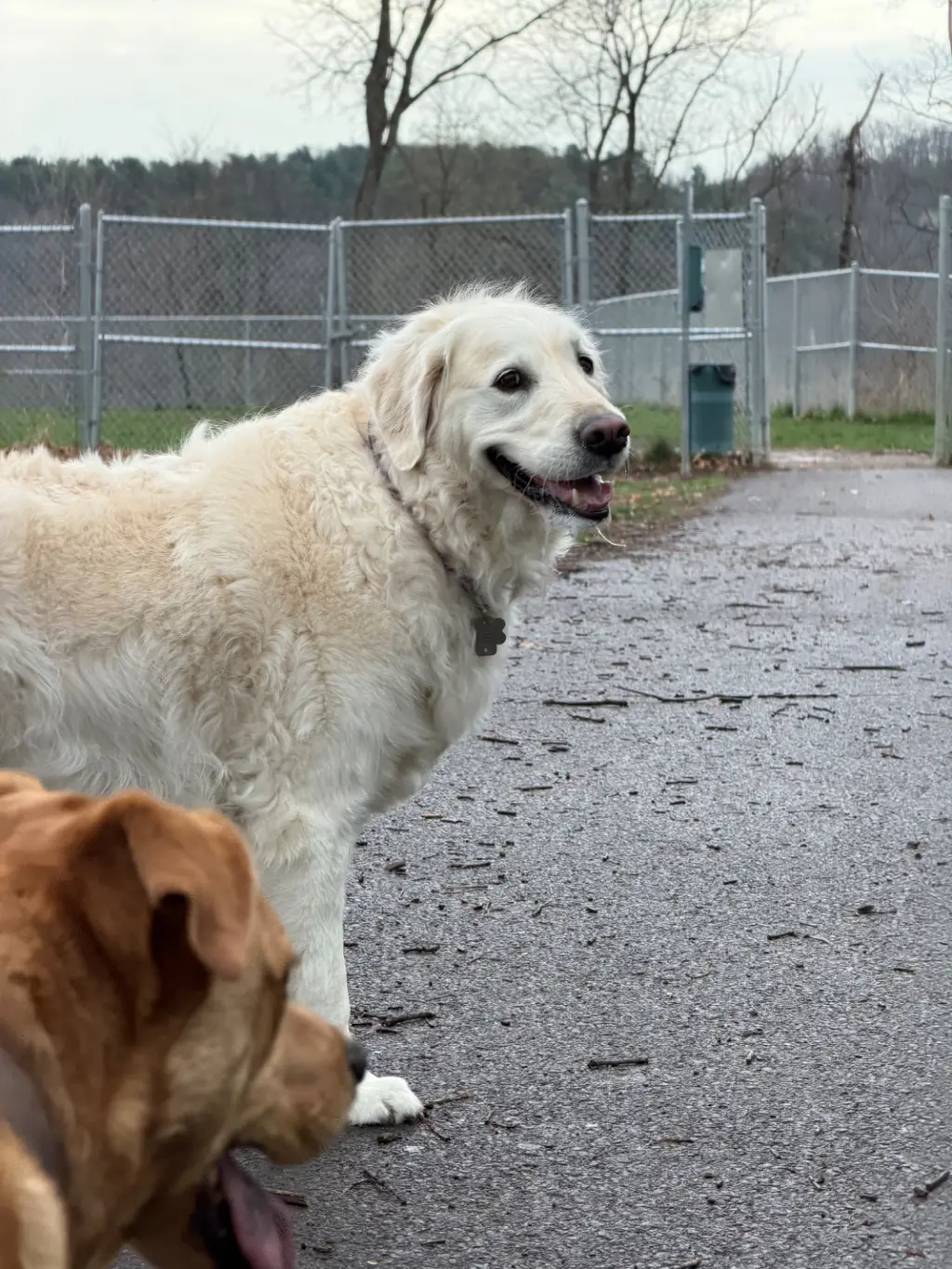 I Could Eat: Exerted all the energy I had on my hike. When’s breakfast, again?