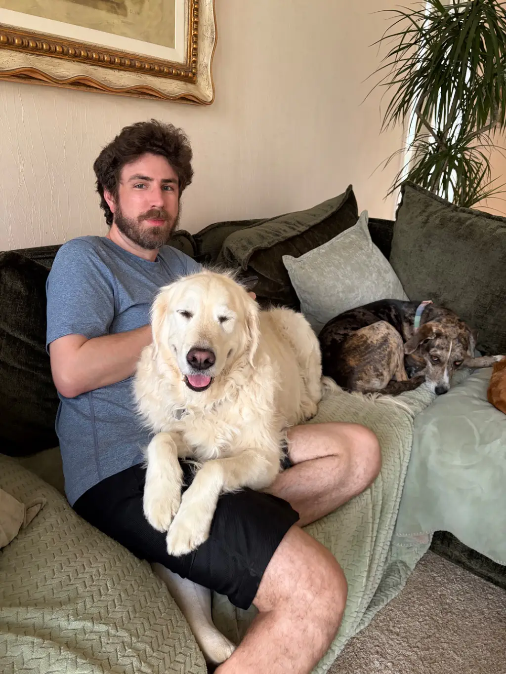 Situated: Made myself right at home with the homeowner. Frenzy seems fine with it