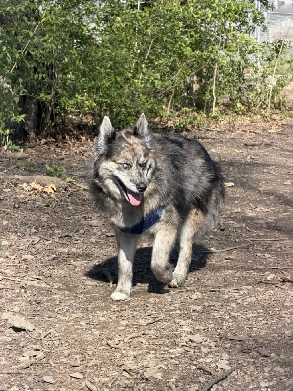 Skulking Around: Practicing my skulk. Hoping to be full-on stealthy one day