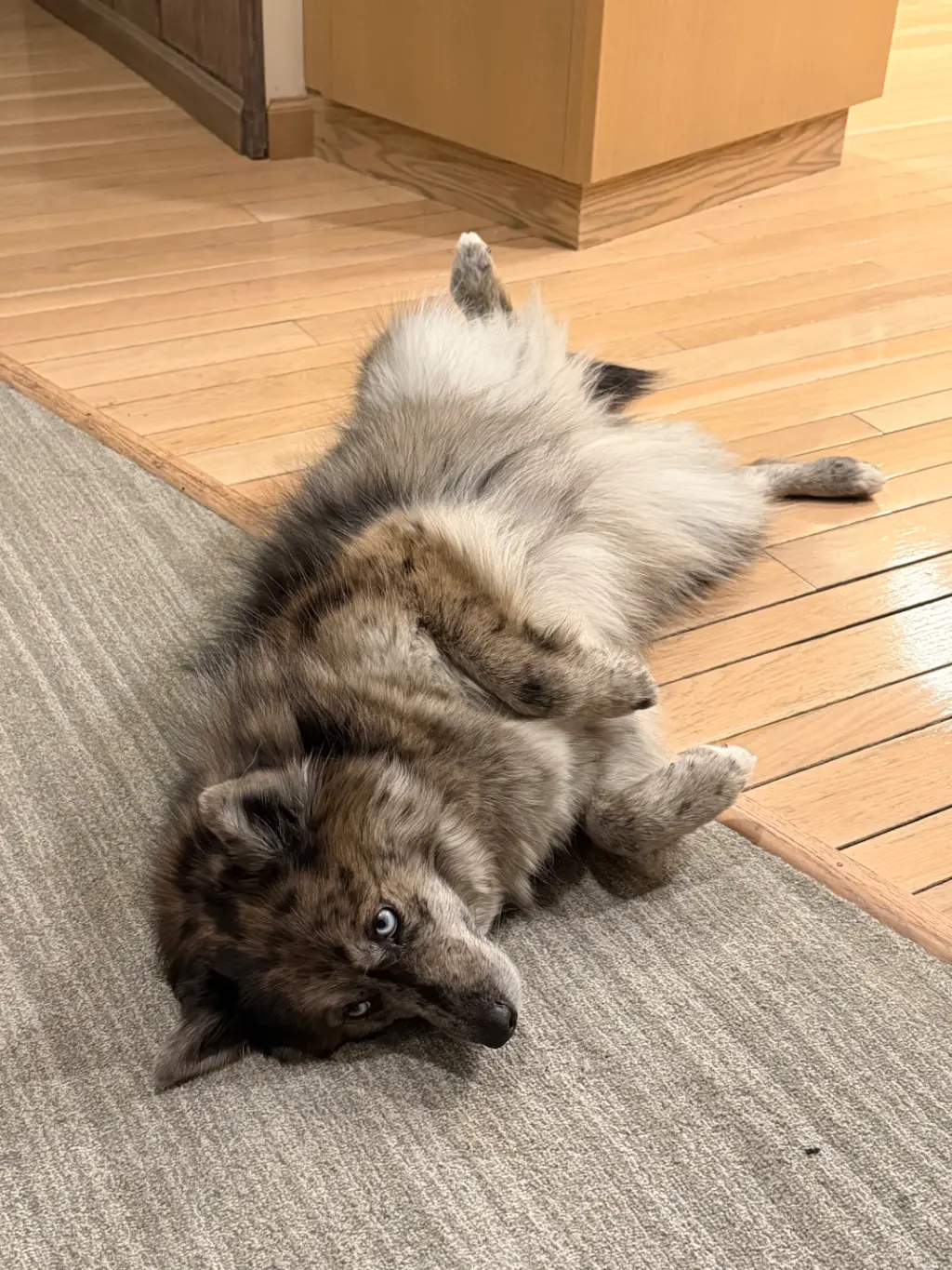 Subtlety: When I want pets, I try not to be too obvious