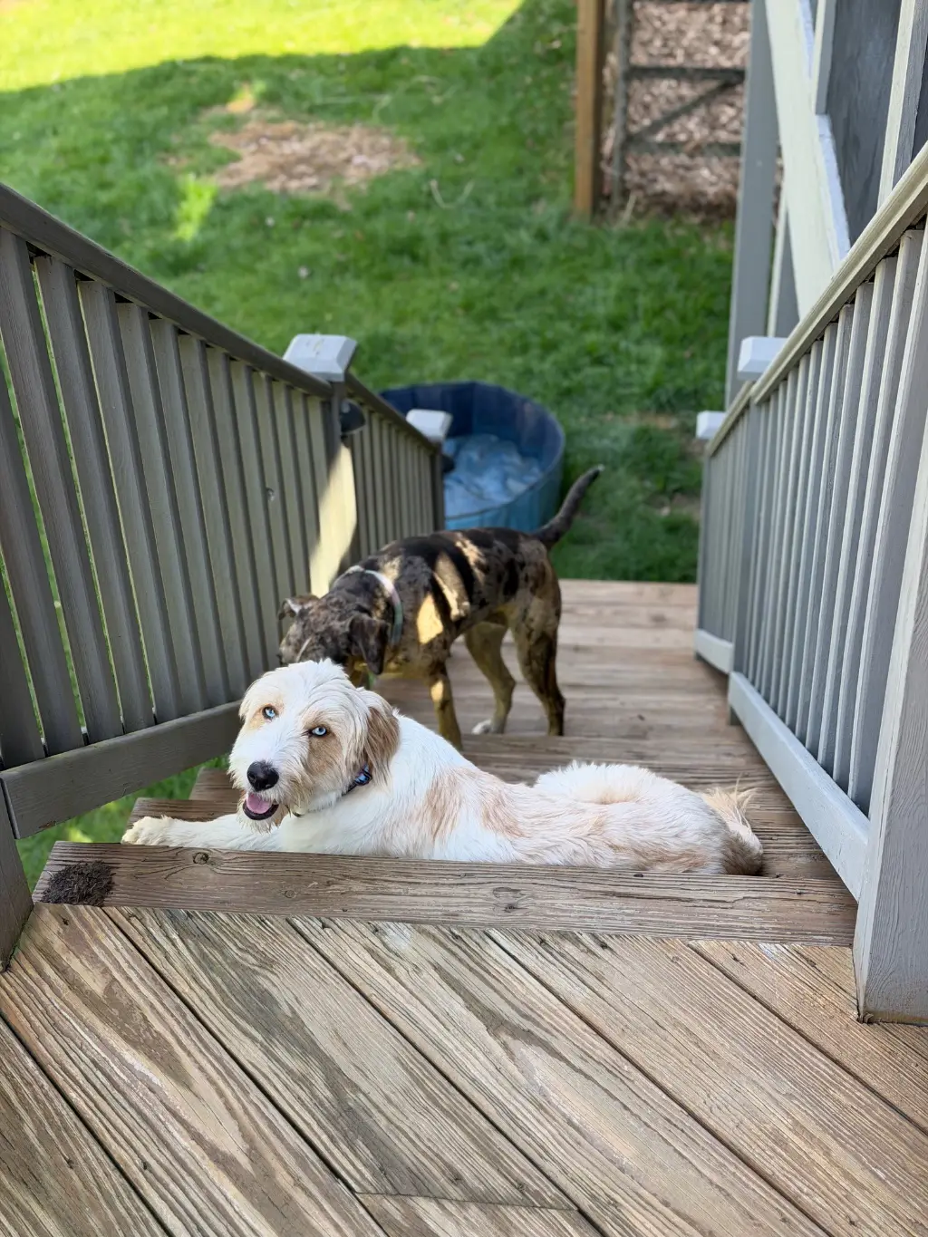 Blockade: In a tactical maneuver, I’ve managed to claim the staircase for myself. Frenzy is no longer allowed passage