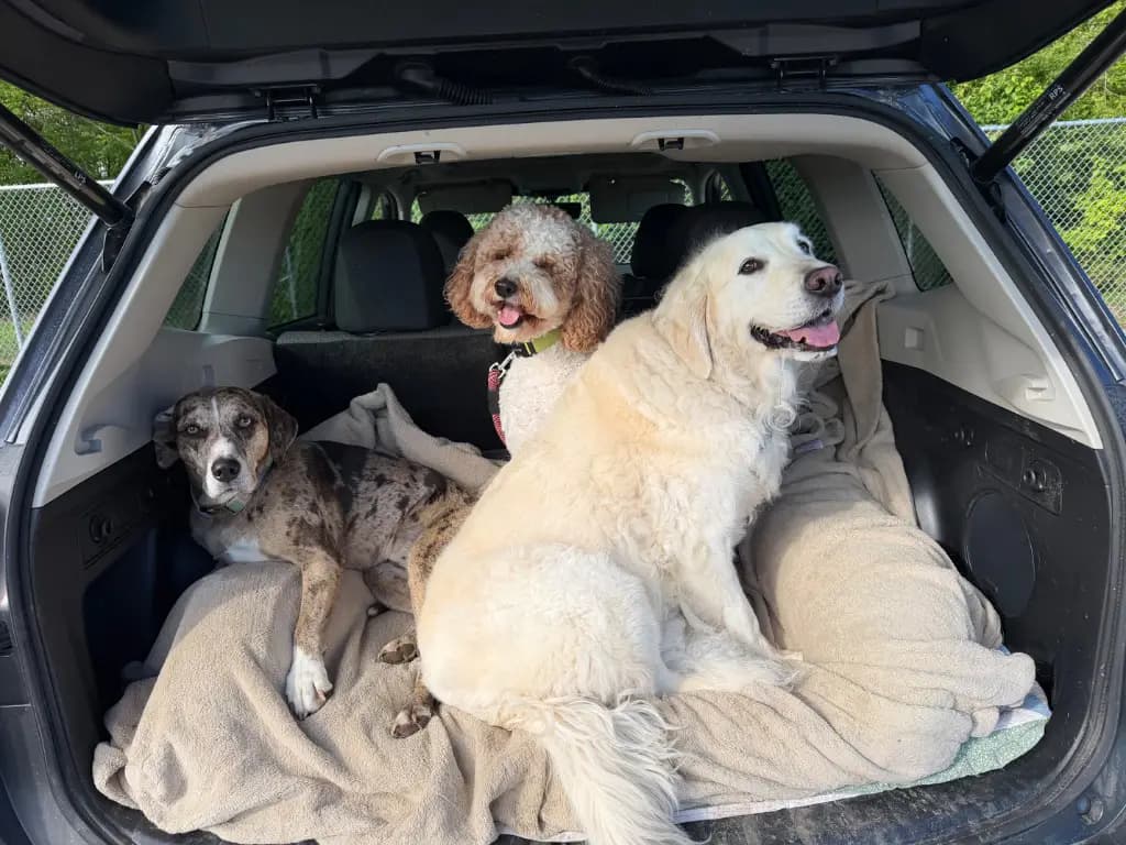 Girl’s Trip: Getting the gals together for a spring break extravaganza. We’re thinking somewhere beachy.