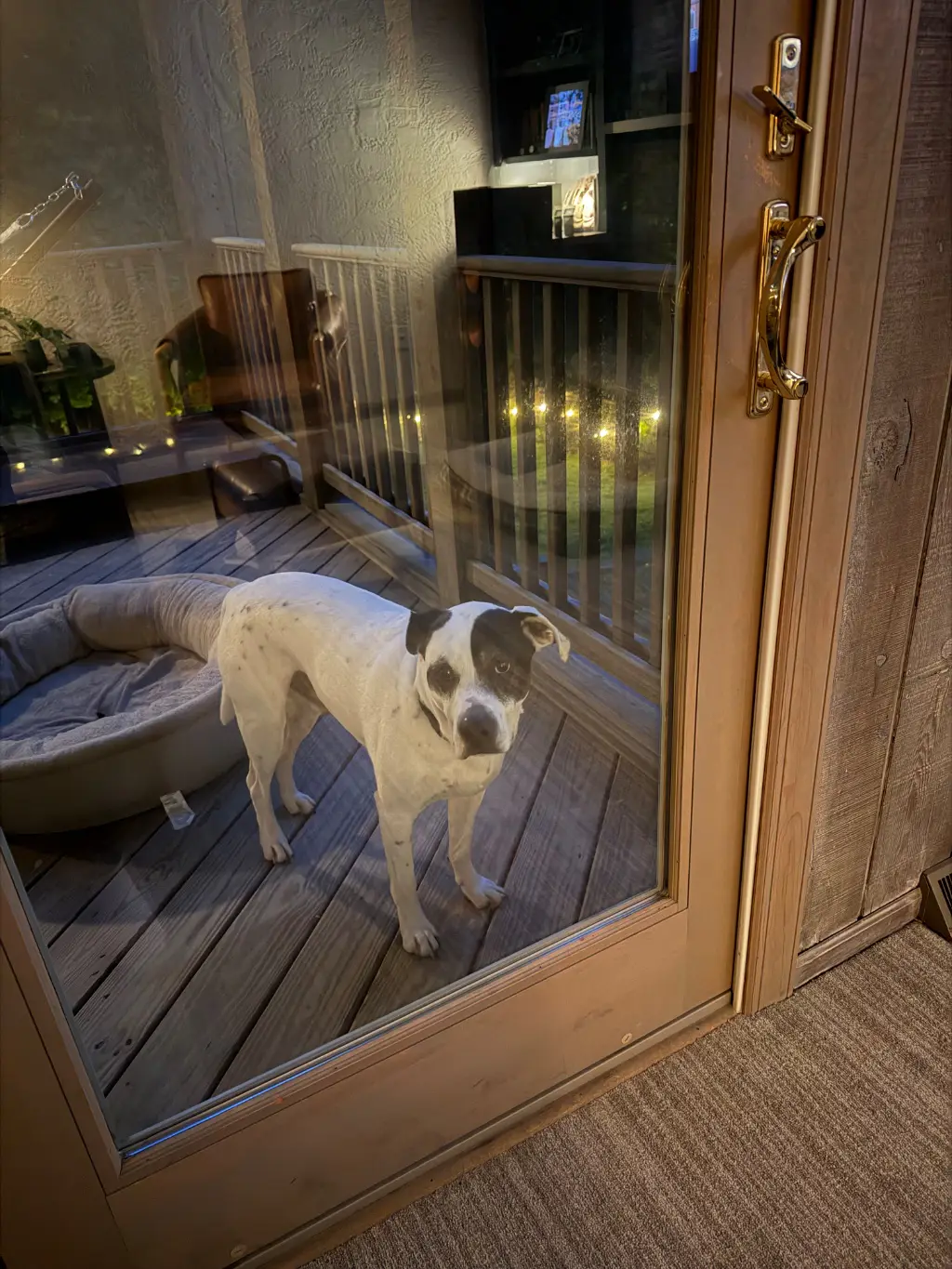 Door Stuck: Locked outside again. Please let me in. Yes I know the other door is open 15 feet to my right, but I’m at this one.